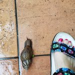 Photo taken by Michelle B