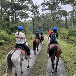 Photo taken by Andrea B