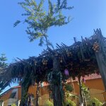 Photo taken by Keyla A