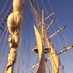 Photo taken by Patricia K