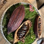 Photo taken by Deirdre H