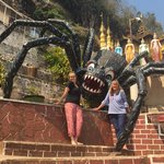 Photo taken by Terri M