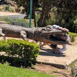 Photo taken by Colleen B