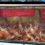 Photo taken by Kory D