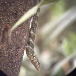 Photo taken by Matt P