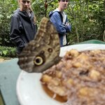 Photo taken by Victoria C