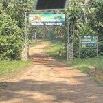 Photo taken by Cynthia C