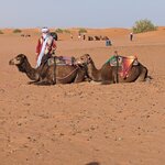 Photo taken by Roni E