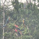 Photo taken by Shanthi V