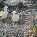 Photo taken by Mark A