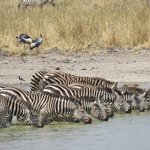 Photo taken by Kristin M