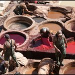 Tannery. Fez. | Photo taken by Thomas H