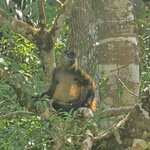 Photo taken by Touraj K