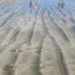 Photo taken by Garritt V