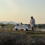 Photo taken by Brad P