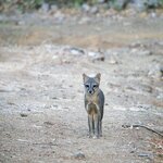 Photo taken by Dawne D