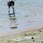 Photo taken by Brett F