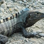 Photo taken by Brett F