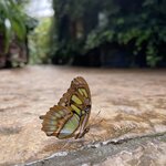 Photo taken by Jacqueline R