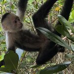 Photo taken by Morton A