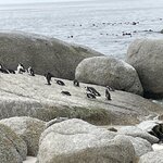 Photo taken by Joanne B