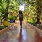 Jardin Majorelle | Photo taken by Jordan A