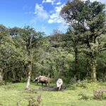 Photo taken by Vanessa V