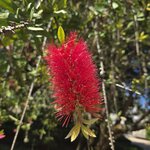 Photo taken by Doug P