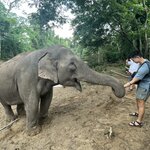 Photo taken by Joyce C