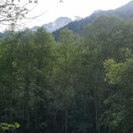 Photo taken by Irwin M