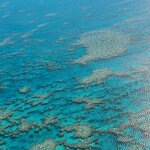 Photo taken by Maggie W