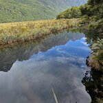 Photo taken by Iris W