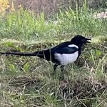 Photo taken by Leigh M