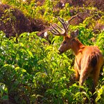 Photo taken by Dennis H