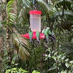 Photo taken by JULIE M