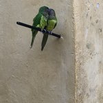 Photo taken by Juliette S