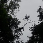 Photo taken by Claudia S