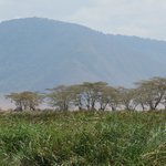 Photo taken by Kristin M