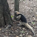 Photo taken by Jason C