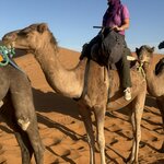 Photo taken by Pam L