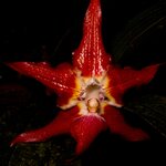 Photo taken by Sabine V