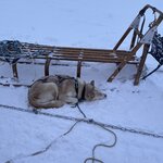 Photo taken by Lori M