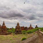 Photo taken by Terrence Y