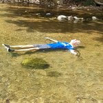 Photo taken by Anne T