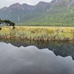 Photo taken by Iris W