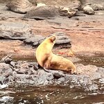 Photo taken by Carla C