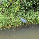 Photo taken by Kim L