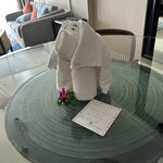 Photo taken by Fuad A