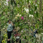 Photo taken by PADMABEN P