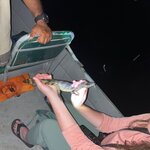 Photo taken by Marur Dev D